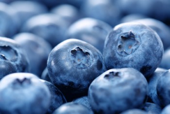Want to Live Longer? Add Blueberries to Your Diet