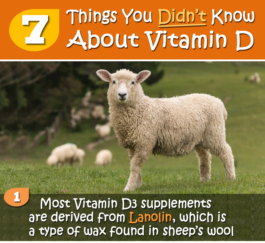 7 Things Your Didn’t Know About Vitamin D. Fact 1: Most Vitamin D3 supplements are derived from Lanolin, which is a type of wax found in sheep’s wool. See the rest at MultivitaminGuide.org/VitaminD